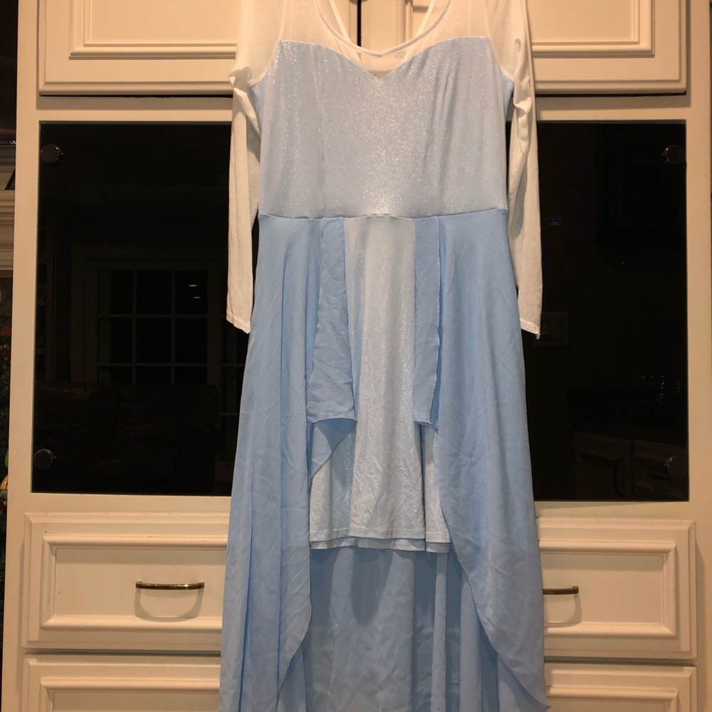 Disney’s Frozen Elsa Adult Cosplay/Costume Dress